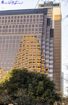 Austin City Walk Feb 2025